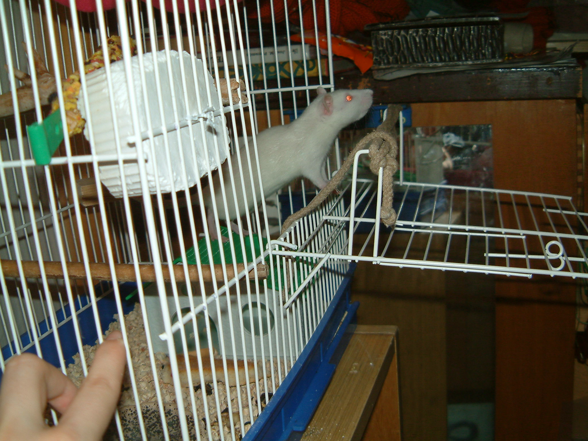 MK2007_0130_221137AA.JPG